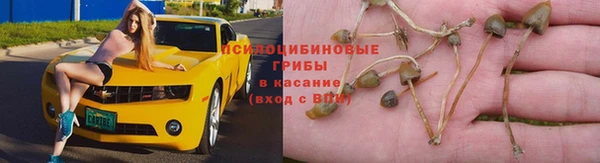 MESCALINE Мегион