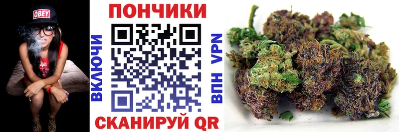 Купить закладки  Белёв  Конопля AK-47 